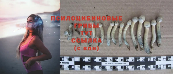 твердый Гатчина