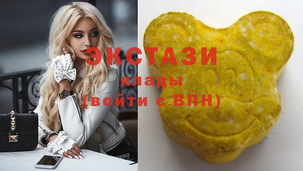 стаф Галич