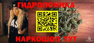 спайс Будённовск
