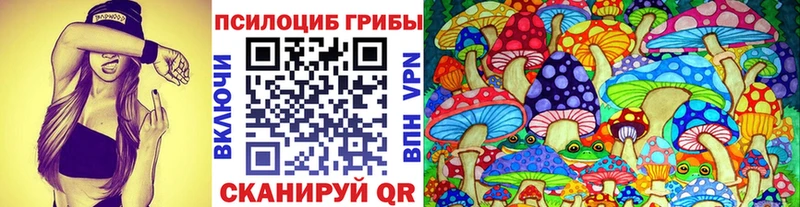 Псилоцибиновые грибы Psilocybe  что такое наркотик  Братск 