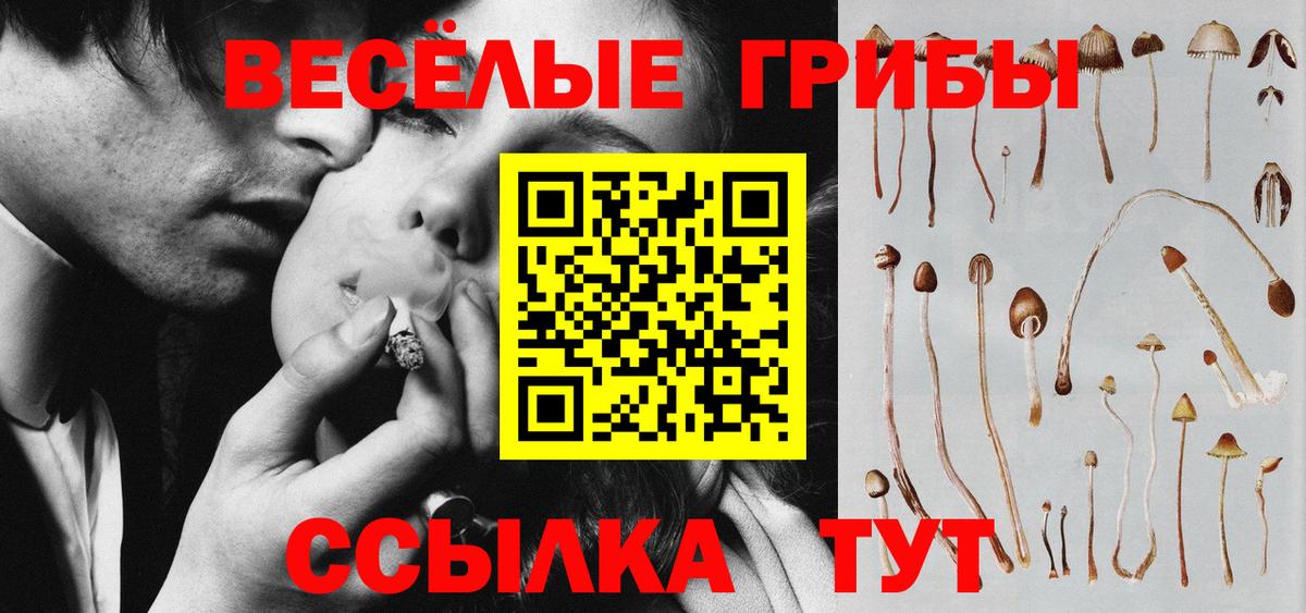 Галлюциногенные грибы Magic Shrooms Братск