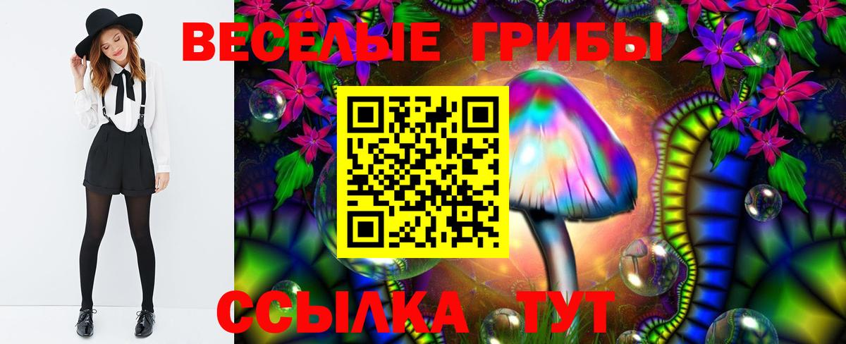 Братск  Галлюциногенные грибы Cubensis  Вход с VPN  Псилоцибиновые грибы ЛСД 