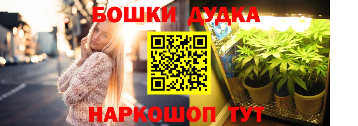 Конопля планчик Братск